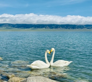 Sayram Lake.jpg Sayram Lake.jpg